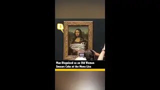 Man Disguised As Old Woman Tries to Smear Cake at Mona Lisa Painting at Louvre | The Quint