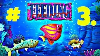 KathyRain Plays - Feeding Frenzy 1 Deluxe 2004 Pc Trial Version Gameplay Part #3.