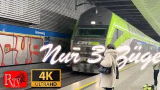 Nur 3 Z&uuml;ge /  Cat / Doppelstock / CityJet