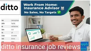 Work From Home Job | Ditto Insurance Advisor Interview Questions  | Ditto Interview Process