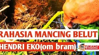 RAHASIA MANCING BELUT ALA HENDRI EKO.#EEL FISHING