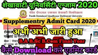 Shekhawat University Supplementry Admit Card 2020 जारी हुआ PDUSU Supplementry Admit Card कैसे देखें