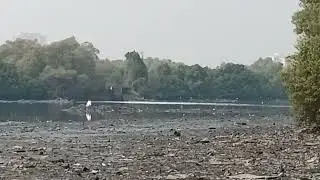 Sewage major outfall in oshiwara creek 