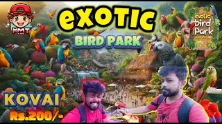 EXOTIC BIRDS PARK IN METTUPALAYAM NEAR BLACK THUNDER l EXOTIC BIRD PARK KOVAI l OOTY l MMT VLOGS.