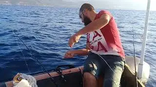 Peche plongrotte a gouraya tipza