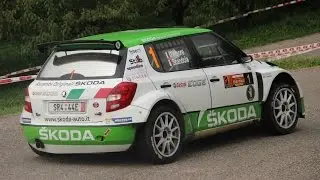 XXXII RALLY DUE VALLI 2014 - TUTTE LE AUTO (HD)