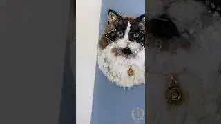 Мы создаём броши по фото Ваших домашних питомцев❤️ www.brillworld.ru