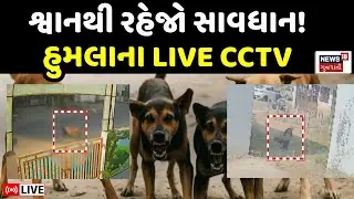 Vadodara Stray Dog Attack LIVE | ગુજરાતમાં રખડતા શ્વાનથી રહેજો સાવધાન | Dahod | CCTV | Attack