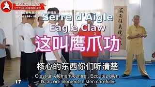 Trailer - 鹰抓功 / Eagle Claw / Serre d'Aigle - 陈式太极拳实用拳法 Chen Style Taijiquan Practical Method
