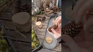 Floristik Deko Kerzenstadt auf Bollen Moos: Zapfen B&auml;umchen mit Holzklammer auf Baumscheibe basteln