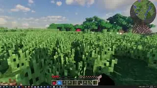 ЧТО С МОИМ МАЙНКРАФТОМ?!!!