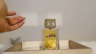 New Perfume Buys | 😐 The Good, The Bad| Perfume Shop Chit Chat