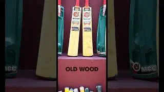 🔥PANTHER EDITION&ndash;A New Roar in the Game❗️🐆🏏 I PRAVEENPANTHERS I MCC BATS I PP I