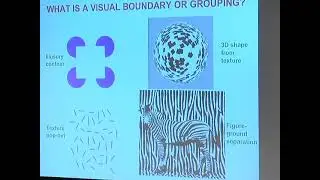 Stephen Grossberg: Neural Dynamics of Attentive Object Recognition, Scene Understanding, and Deci...