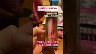 Best color for topwater bass fishing