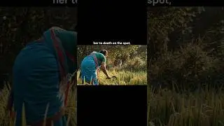 Second Tiger Attack in a Week Shocks Chandrapur! #chandrapur #maharashtra #wildlifenews #shorts