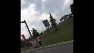 Day 289 of posting Vines until the app is revived
