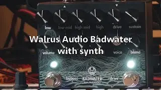 Walrus Audio Badwater with Vermona Perfourmer & Fairfield Meet Maude