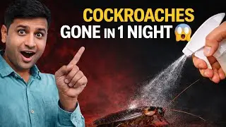 Home made🪳 cockroach killer ! Kitchen & Bathroom Se Cockroach Clean ✨ | Homemade Spray!
