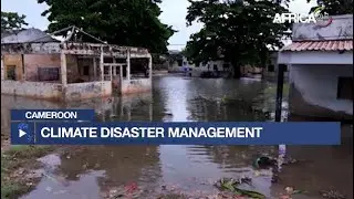 Cameroon - Climate disaster management : an ONACC platform to anticipate crises