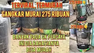 penjelasan SANGKAR BURUNG MURAI TERMURAH VIRAL cukup 275 ribuan