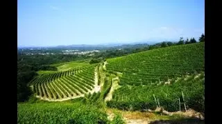 La rinascita dei vini dell&rsquo;Alto Piemonte, tra investimenti, terroir e micro climi unici