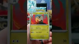 Day 28 Chase That Card : Articuno IR - Journey Together