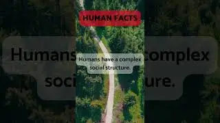 Human complex social structure 😊
