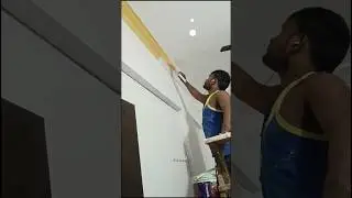 distemper paint Royal metallic golden colour molding base colour#reel #wall #home @Rajesh-vz4lm