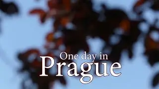 Prague  4K. One Day In Prague 4K. Один день в Праге 4К.