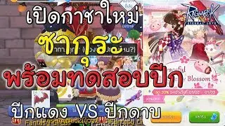 จัดกาชา