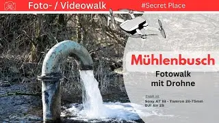 Secret Place in M&uuml;hlenbusch / Nievenheim-&Uuml;ckerath / Waldaufnahmen
