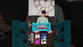 Testing MrBeast's NEW Chocolate Bars