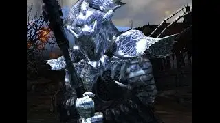 DF:ROA BETA Parks PvP 5