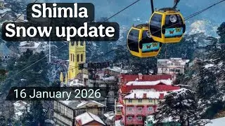 Shimla Snow update / shimla weather/ 16 january 2026 shimla weather update 