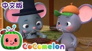 乡村老鼠和城市老鼠 | 大合集 | 經典熱門兒歌 | Kids Song | 動畫 | 童謠 | 儿童学习 | 卡通片 | CoComelon 中文 | Nursery Rhymes