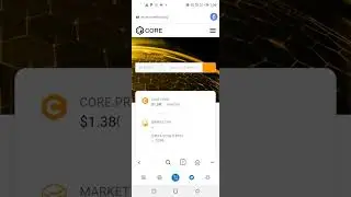 HOW TO ADD CORE BLOCHAIN AND OEX CONTRACT ADDRESS YOUR METAMASK.