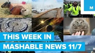 This Week In Mashable News 11/7/2015 | Mashable