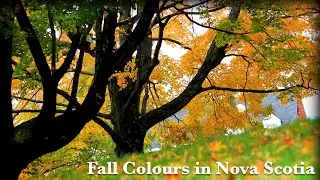 Fall colors in Nova Scotia, Canada