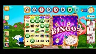 Bingo Wonderland #109 | funny games