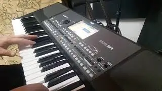 СЕДАЯ НОЧЬ - Шатунов KORG Style PA 600 Korg PA600 - Ласковый май (Седая ночь)