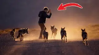 Survival Masters: The Most Resilient Animals in Nature!
