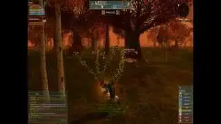 First run in Ryzom