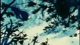Saint seiya asgard Fenrir