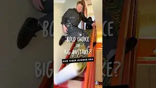 Смелый выбор или большая ошибка?