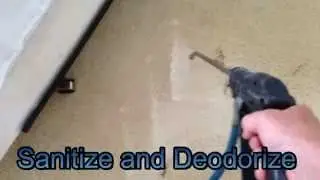 Pet Accident Cleanup Mountain View