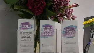 Domestic Violence | Cronkite News