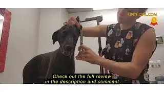 Review Kenchii Five Star Offset Lefty Professional Dog Grooming Shears, 7 Inch Curved Shears, Light