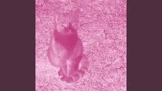 Sub-Train (Demo)