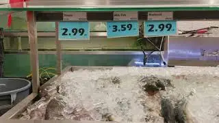 Canada fish market